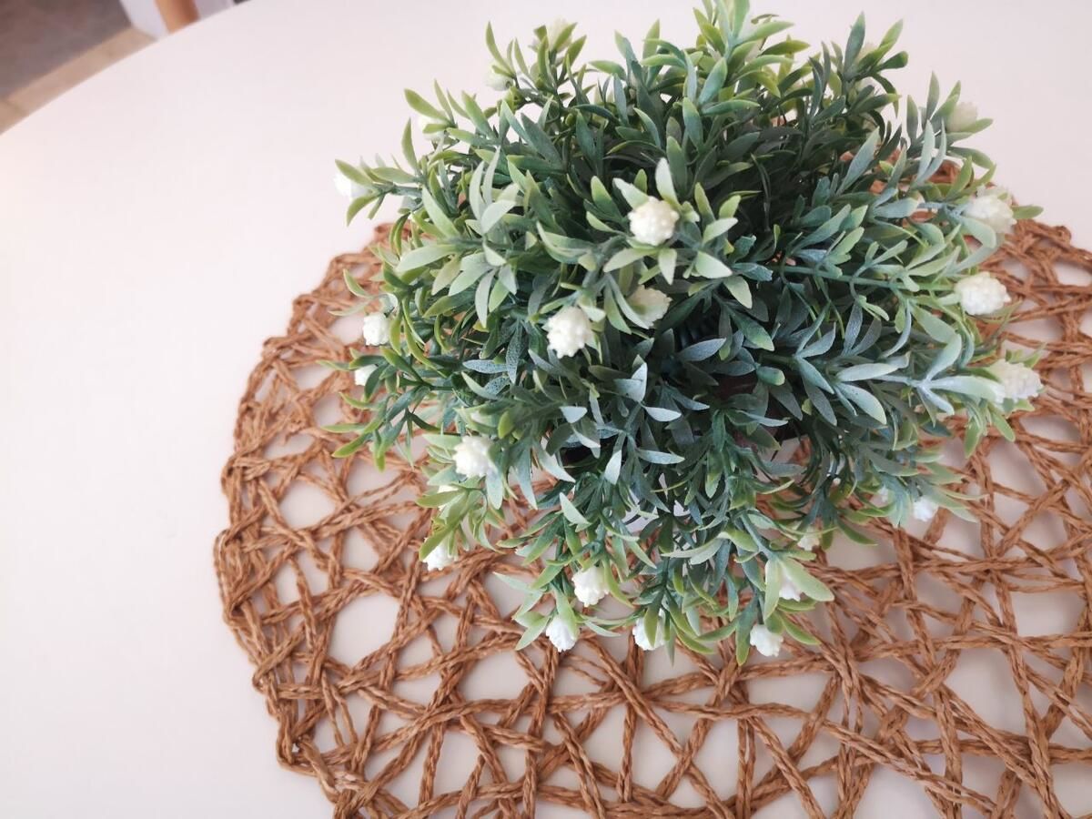 Апартаменты Apartman Stojke Тиват-14